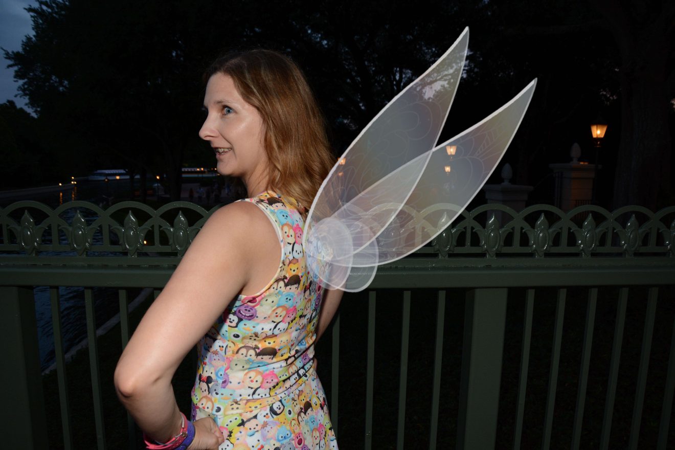 How to a Fairy (Or At Least Look Like One) Disney World