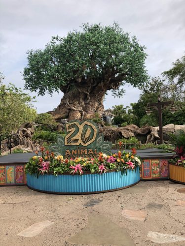 animal kingdom 20th anniversary