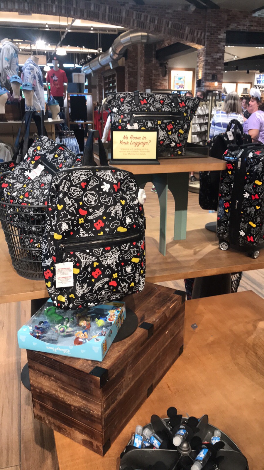 Disney Parks Mickey and Minnie Collection