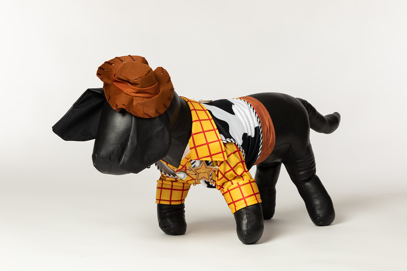 Toy Story 4 Dog Costumes