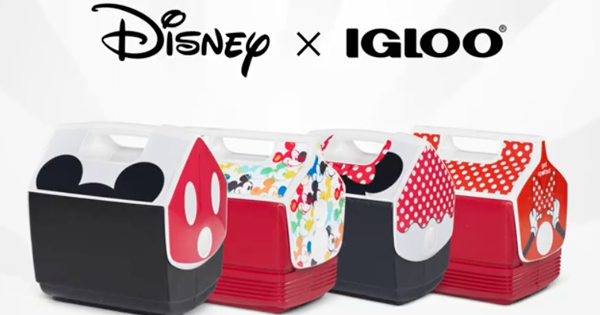 Igloo Disney Coolers