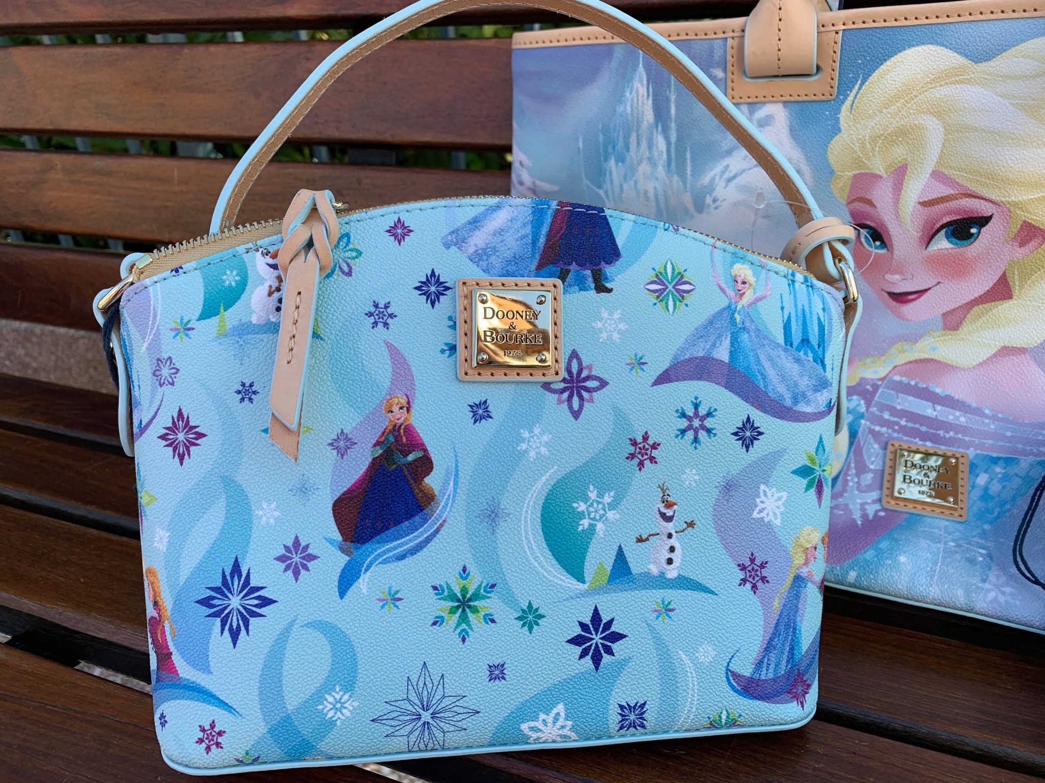 dooney and bourke frozen purse