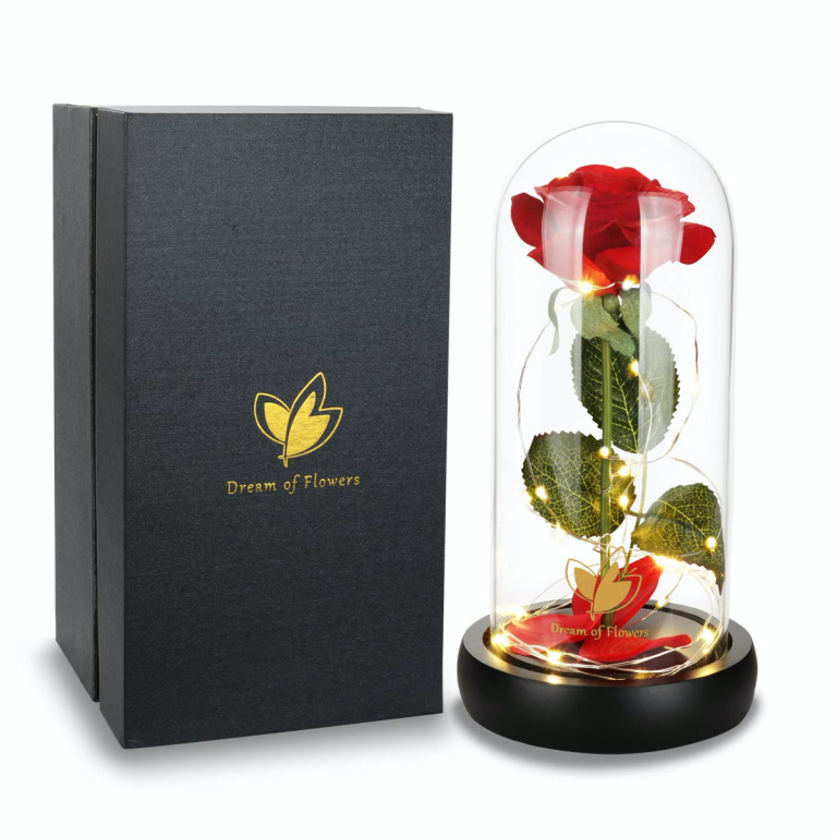 Disney Discovery- Beauty And The Beast Enchanted Rose - Discovery