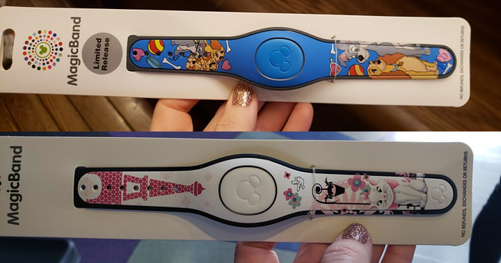 Dog and Cat MagicBands