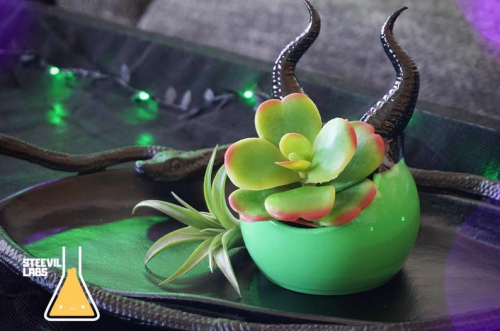 Maleficent Planter