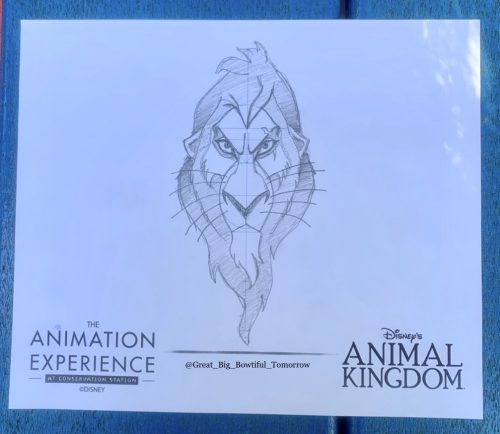 Disney's Animal Kingdom Bucket List