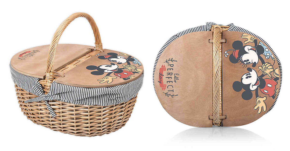 Disney Picnic Basket