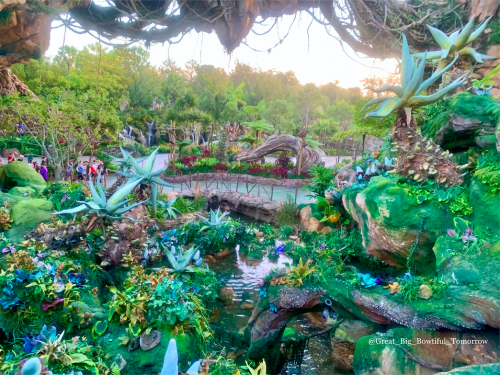 Disney's Animal Kingdom Bucket List