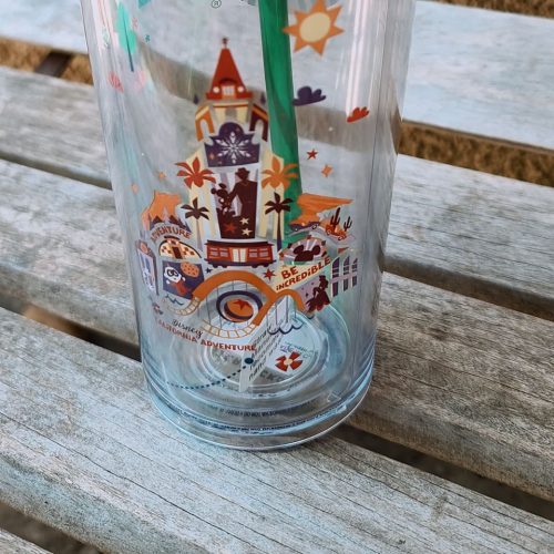 Disneyland Starbucks Tumbler