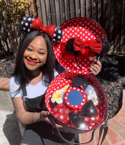 Minnie Ears Carrying Case