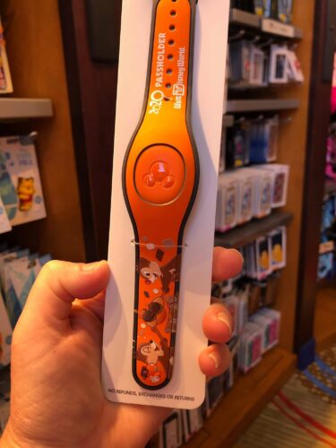 Annual Passholder MagicBands