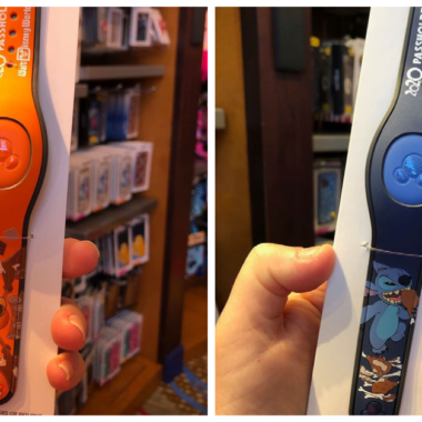 Annual Passholder MagicBands