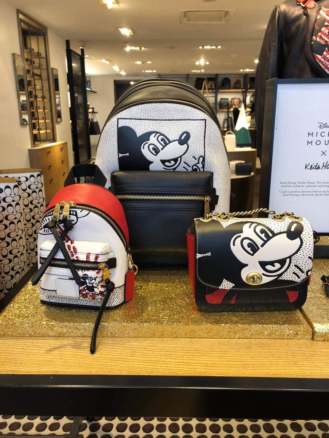 Keith Haring Mickey Mouse Coach Keith Haring Mickey Mouse Coach