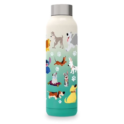 Disney Water Bottles