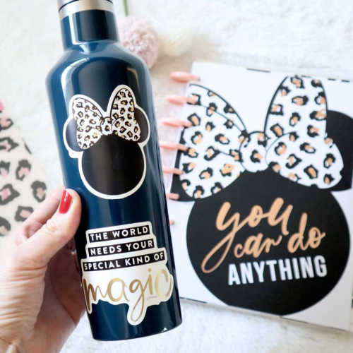 Disney Vinyl Stickers Water Bottles