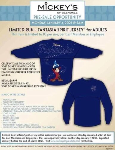 Fantasia Spirit Jersey