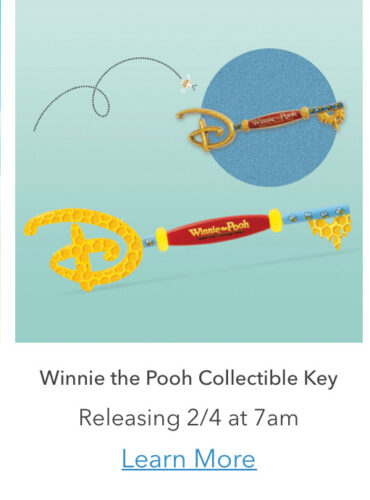 Winnie the Pooh collectible key