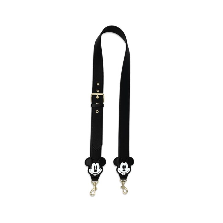 Loungefly Disney Bag Straps Add Disney Magic to Any Bag! bags