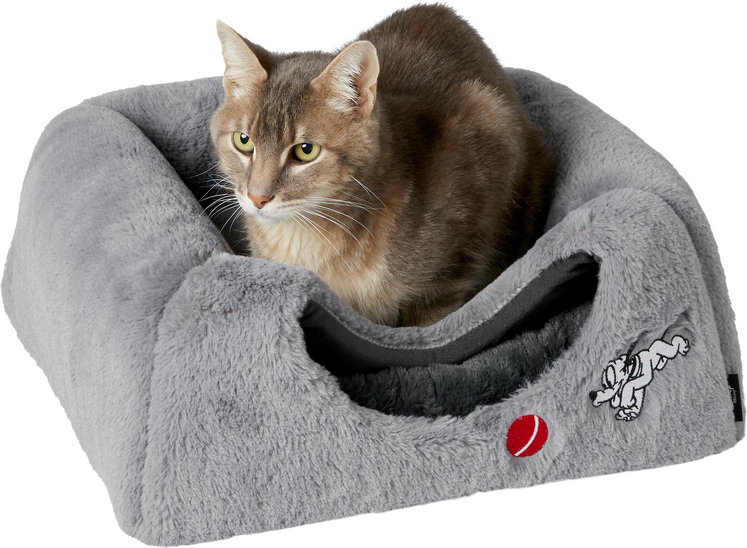 New Magical Pet Beds Have Arrived On Chewy.com - Home