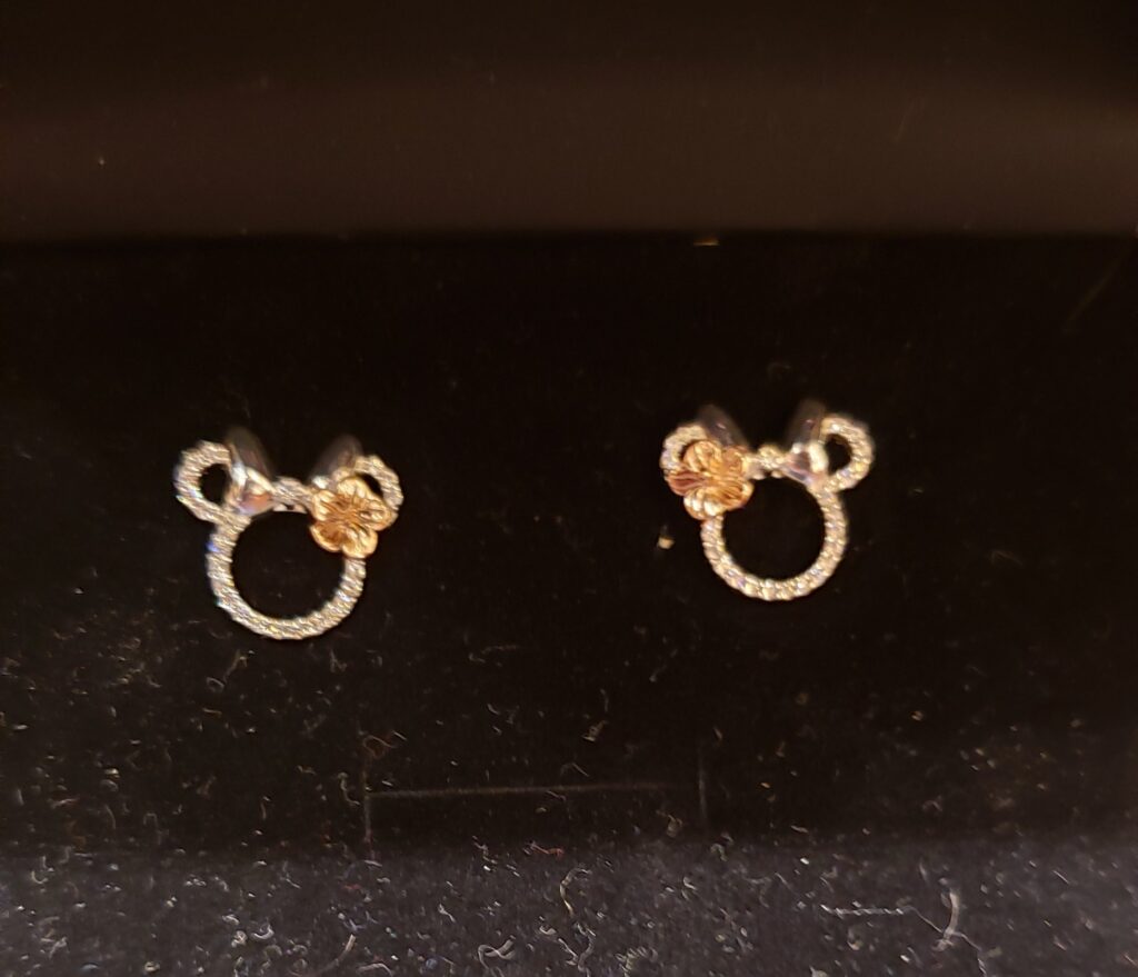 Disney Cruise Earrings