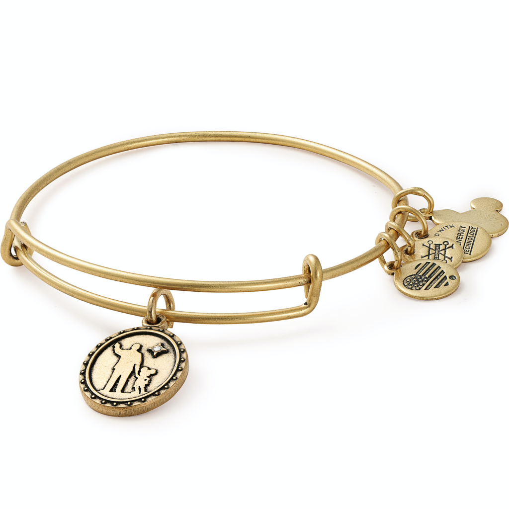 Alex and ani hot sale gemini bracelet