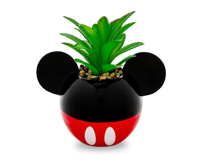 Tiny Disney Succulent Planters 