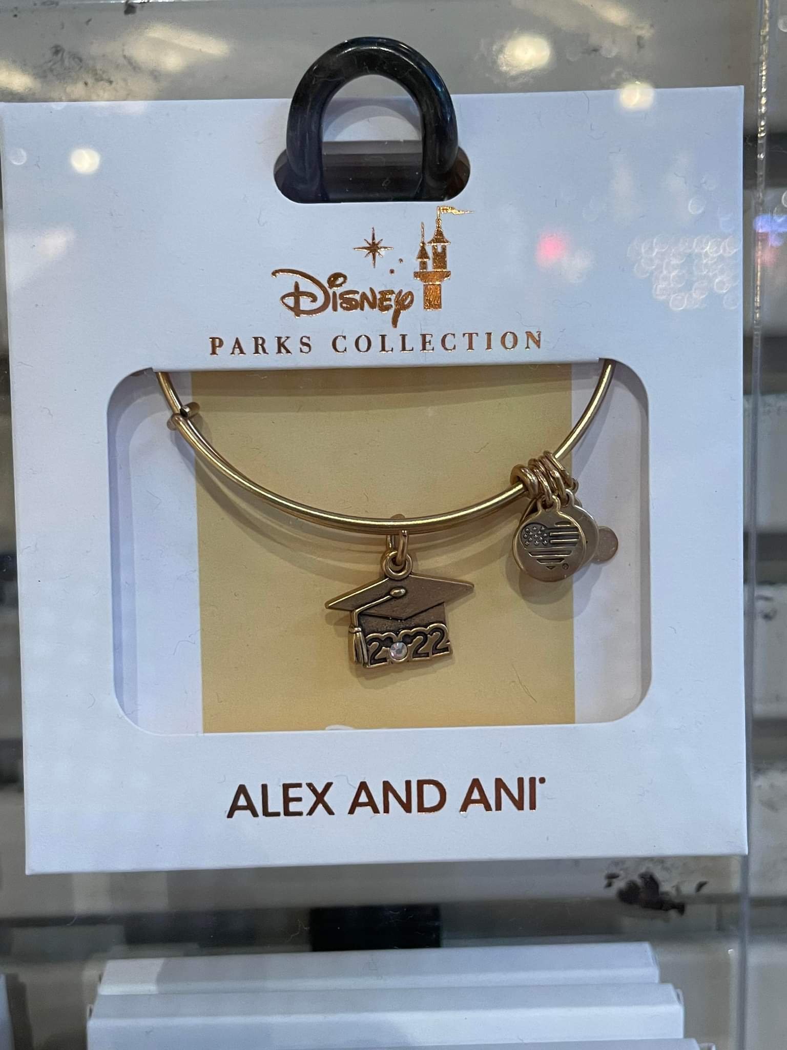 Disney graduation discount alex and ani