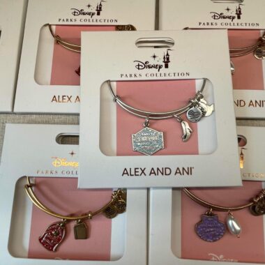 Princess Alex and Ani Bracelets
