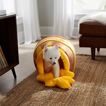 Winnie the Pooh pet supplies