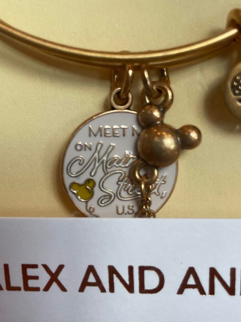 Alex and ani hot sale up house bracelet