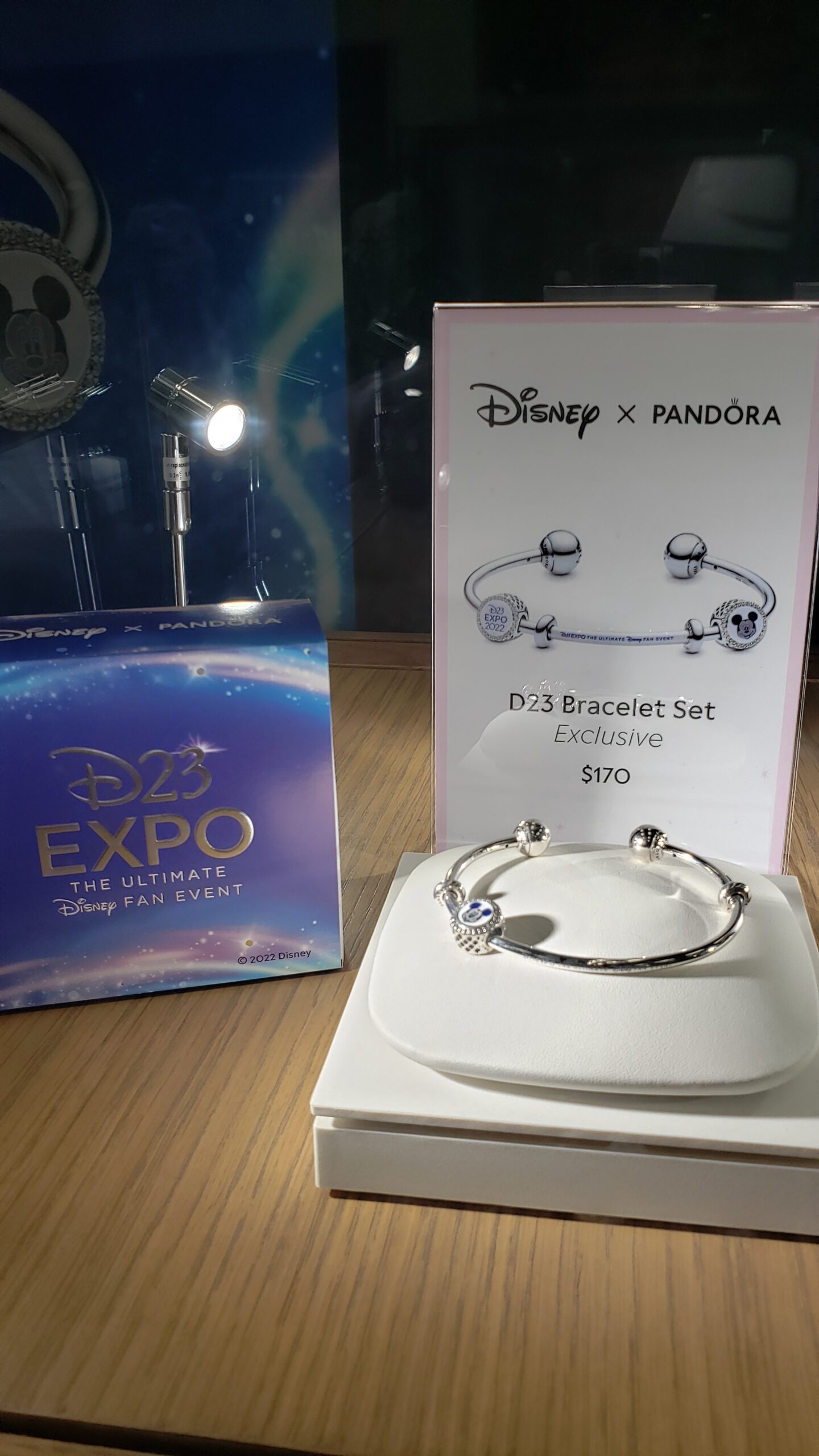 Disney D23 Expo Exclusive pandora high quality charm