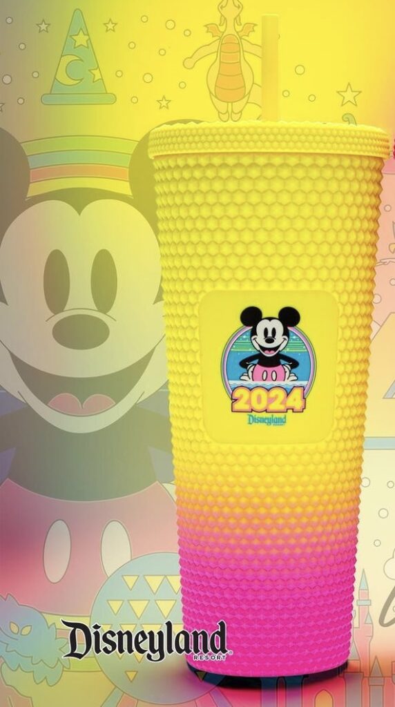 Disney Glass Mug - 2024 Walt Disney World