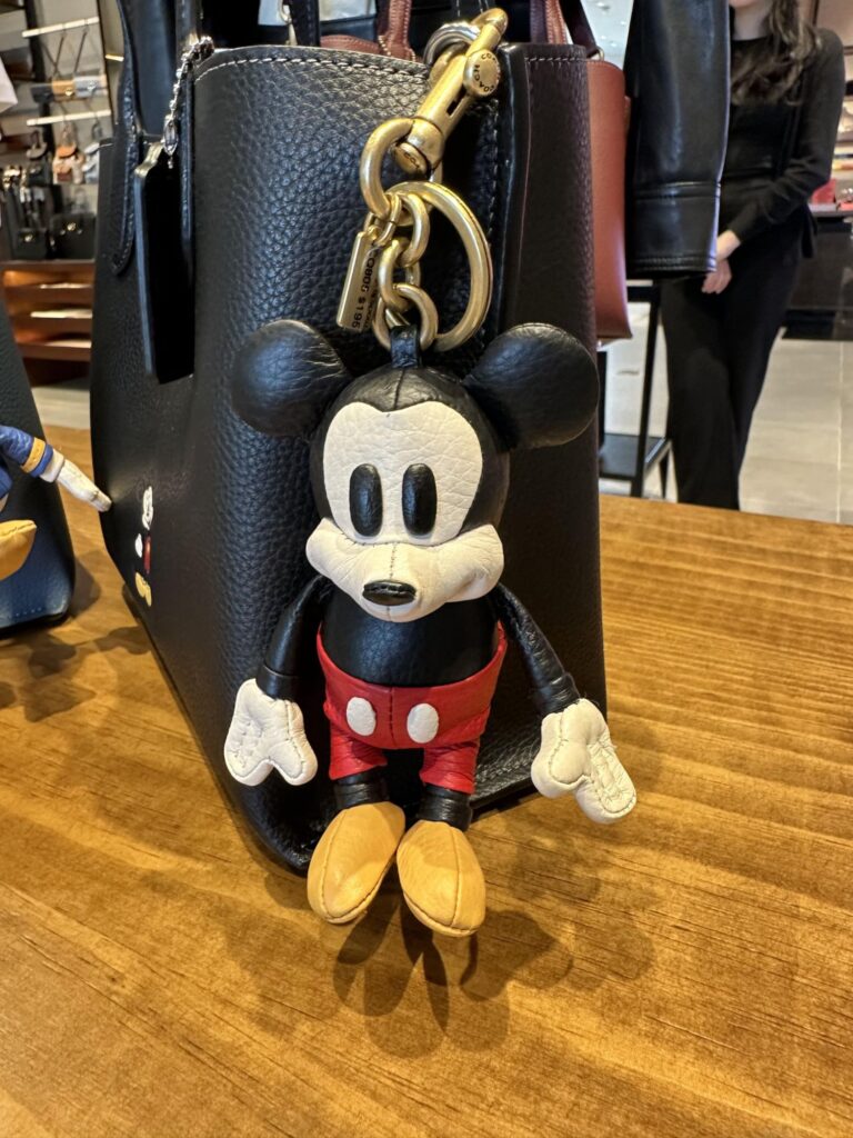 Rainbow Coach Pieces Join Mickey & The Gang At Disney Springs! - bags