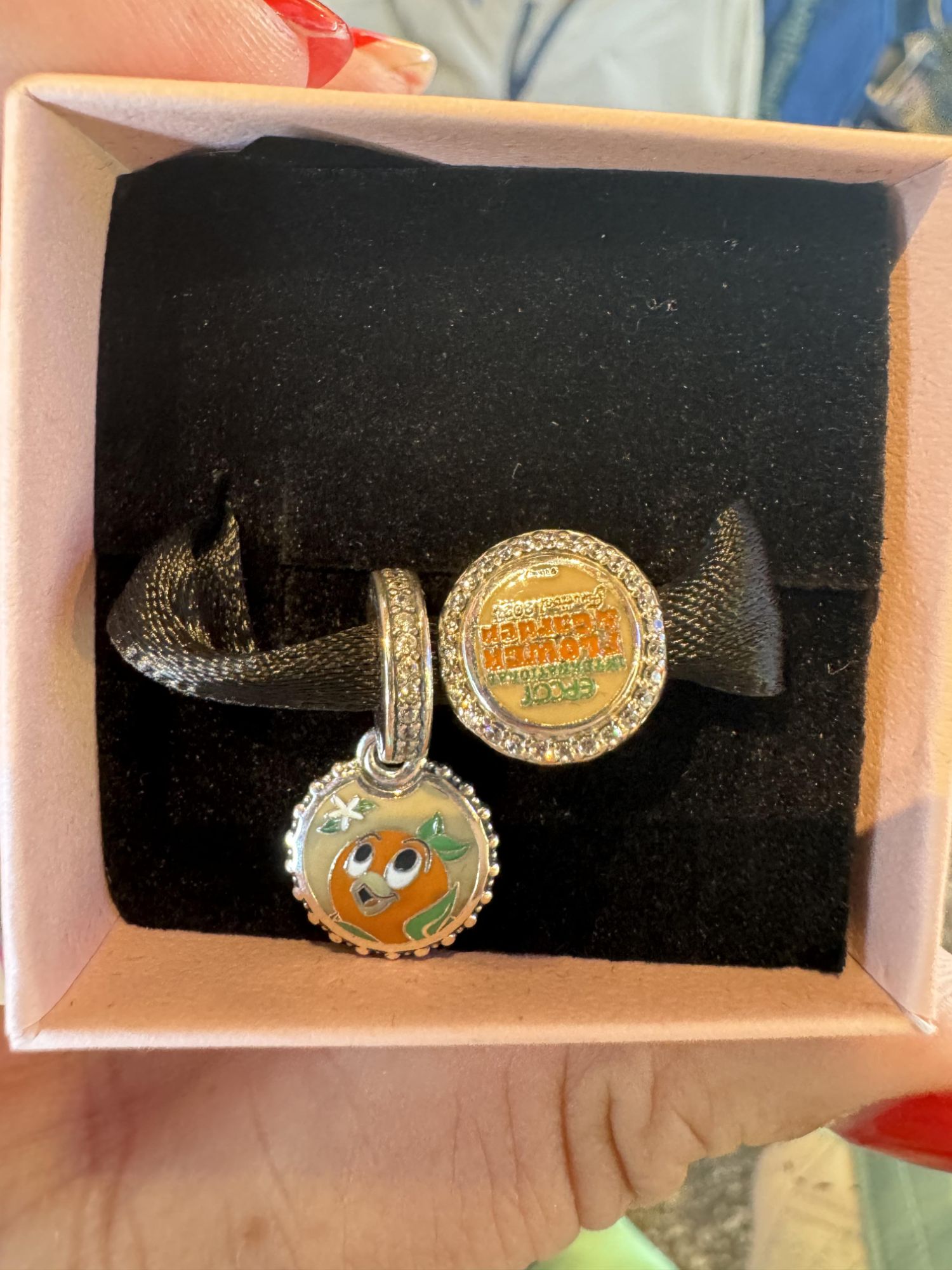 Orange Bird Sweetens Pandora Charm Set Jewelry