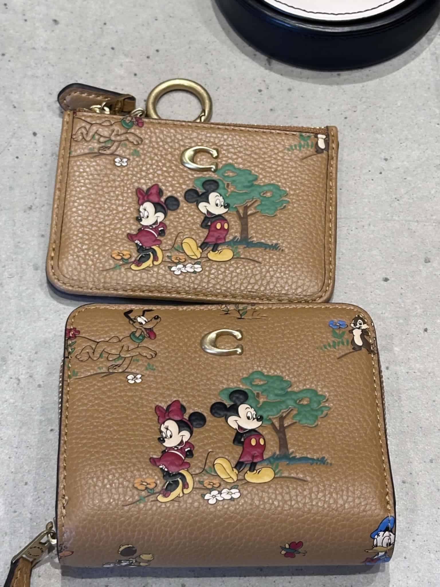 Smell the Flowers with the New Disney x Coach Collection - bags -