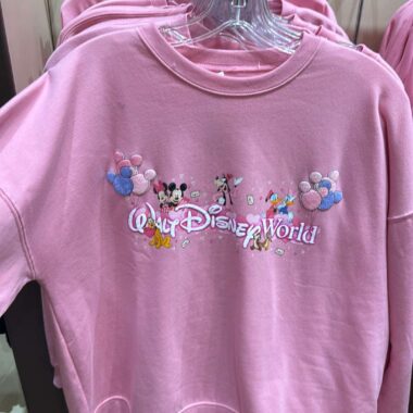 Cute pink Disney sweatshirt featuring Mickey, Minnie, and friends at Disney World.