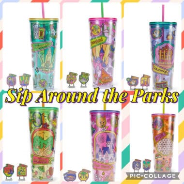 Disney Park themed sip tumblers with colorful park icons and attractions.