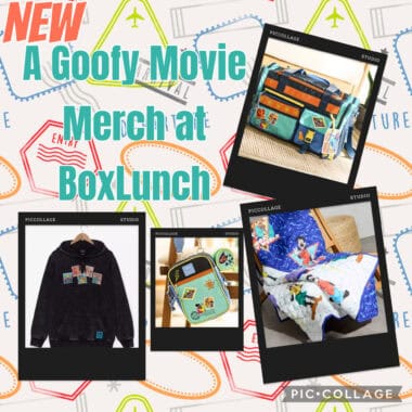 Disney-themed merchandise including a hoodie, bag, and blanket at BoxLunch.