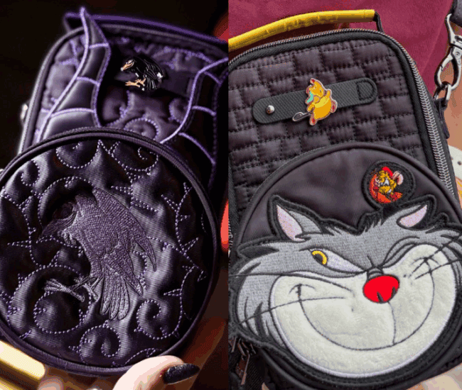 Two Disney-themed mini backpacks featuring characters and designs for fans and collectors.